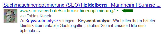 Snippet und Description bei der Suche nach Keywordanalyse Heidelberg