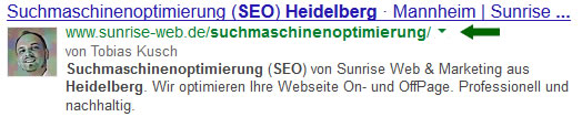 Snippet und Description bei der Suche nach Suchmaschinenoptimierung Heidelberg